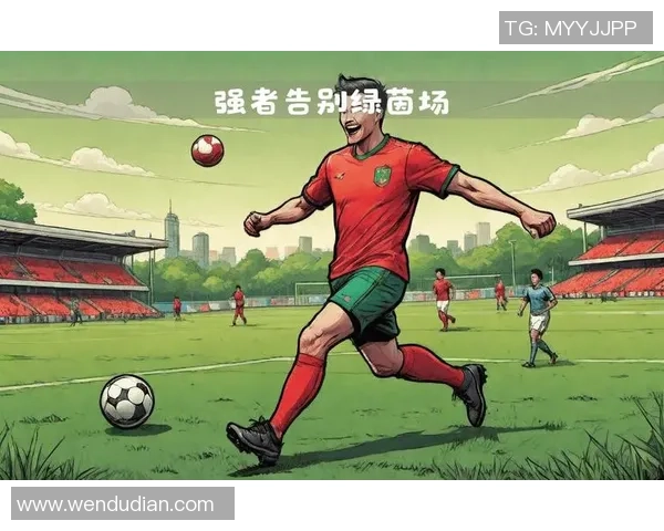 被遗忘的冷僻足球球星如何在绿茵场书写独特传奇