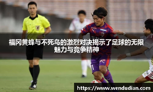 中欧体育官网