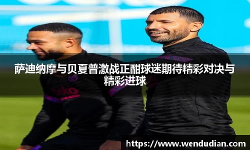 中欧体育官网